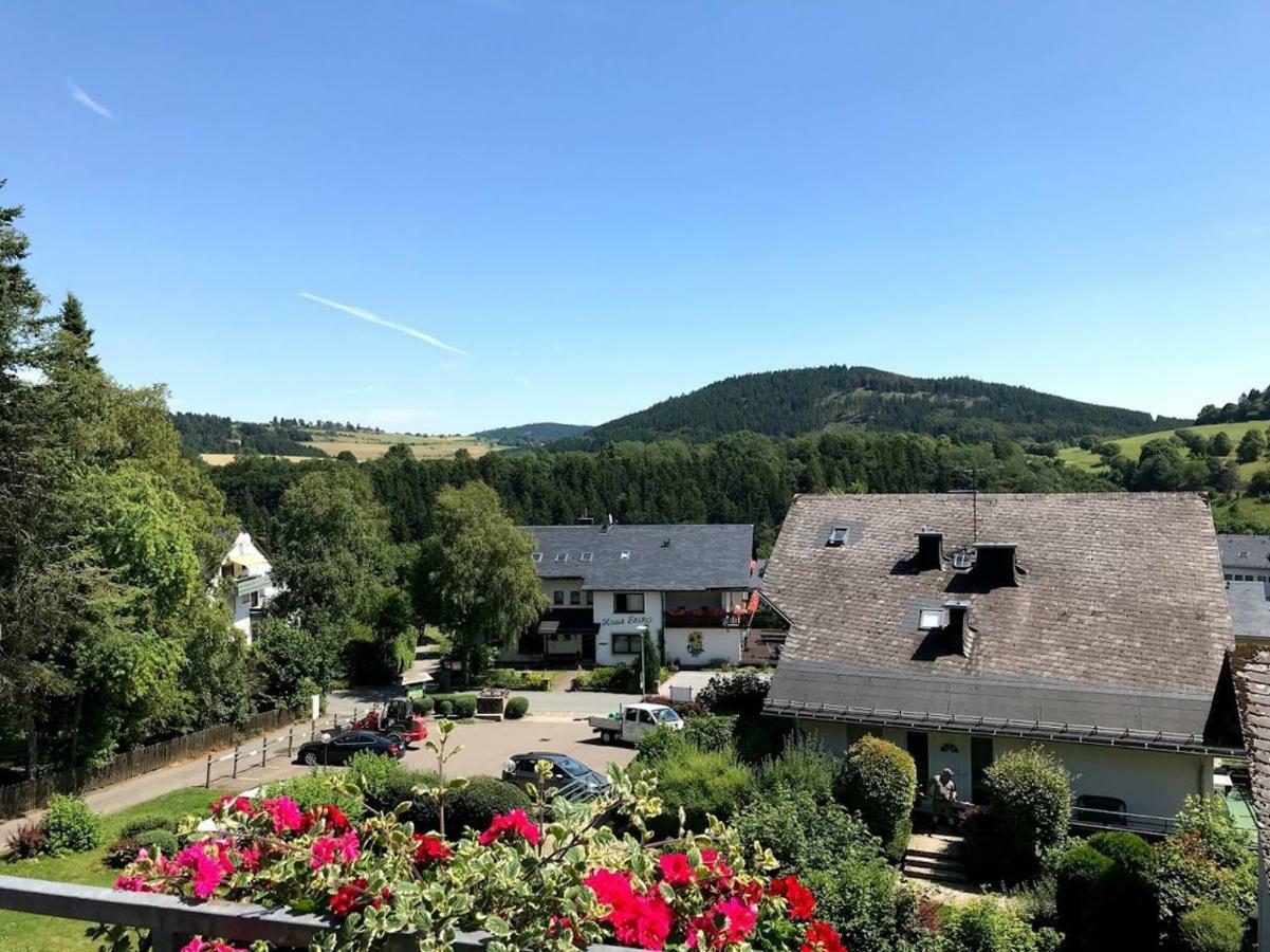 Hotelpension Schroeder Willingen  Exteriér fotografie