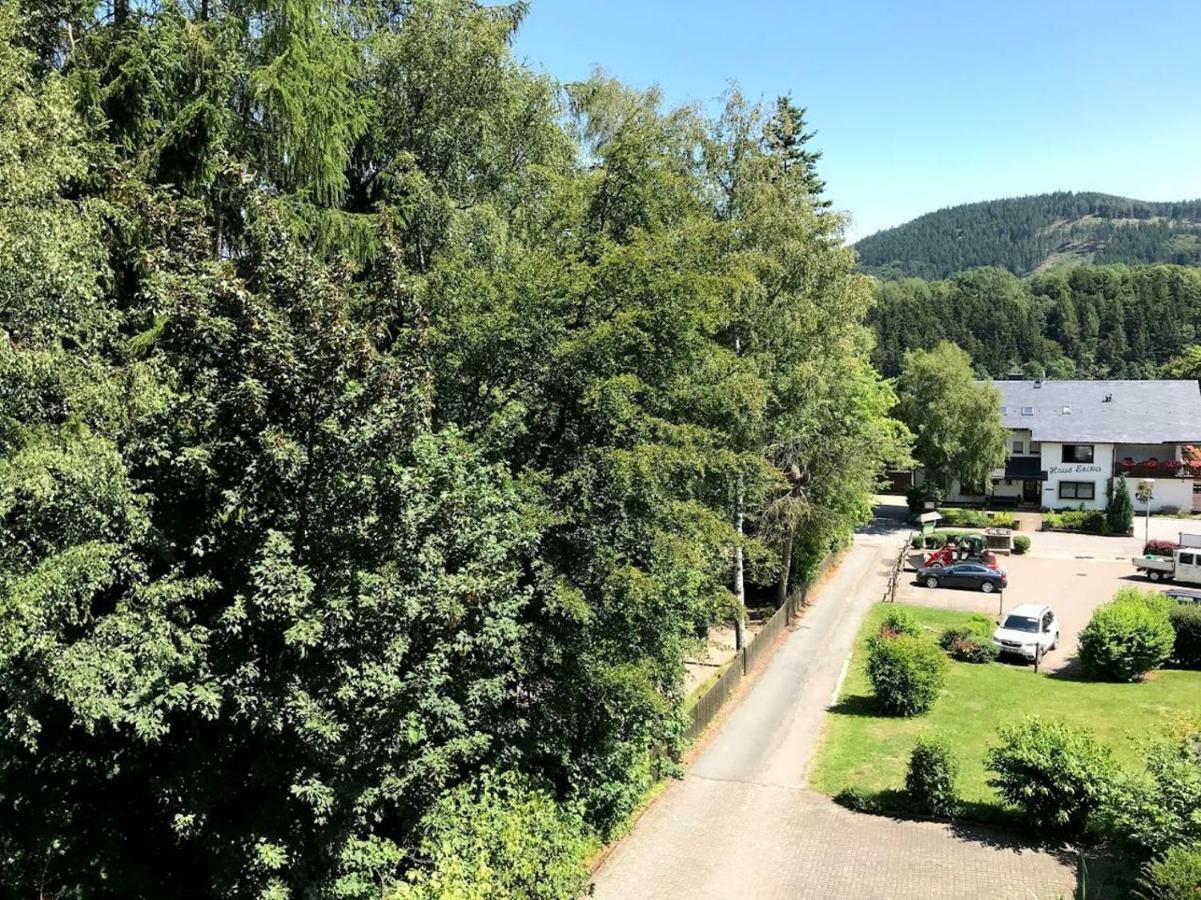 Hotelpension Schroeder Willingen  Exteriér fotografie