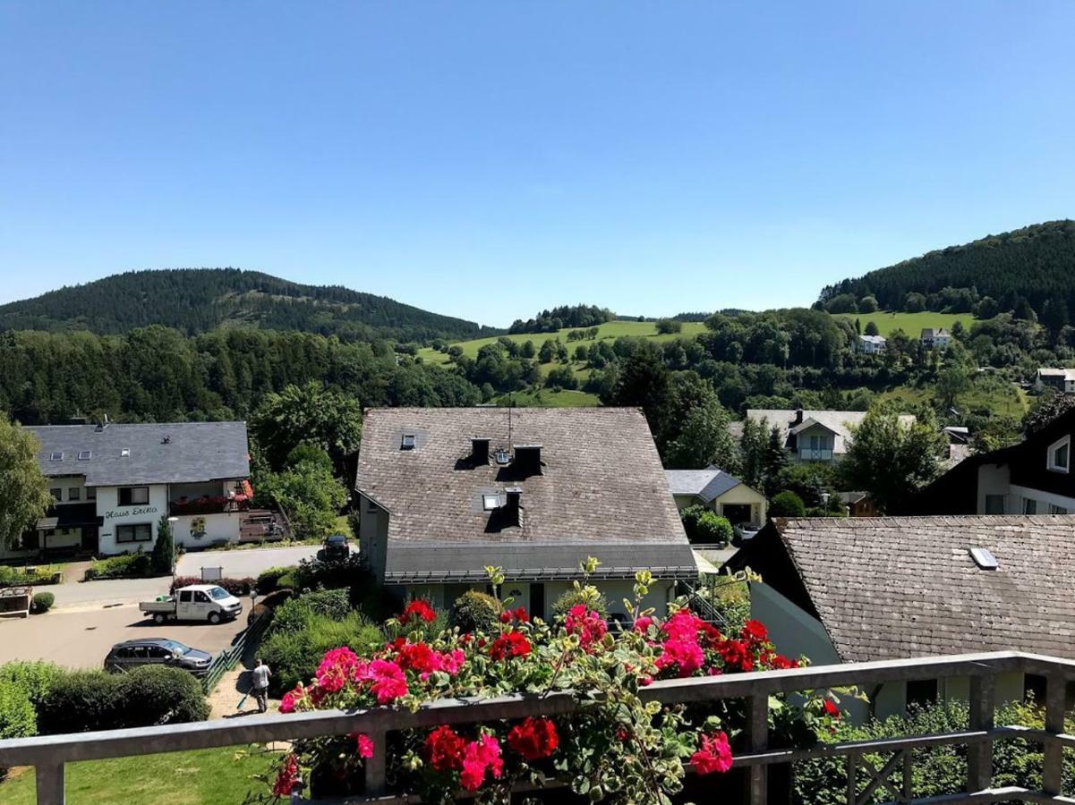 Hotelpension Schroeder Willingen  Exteriér fotografie